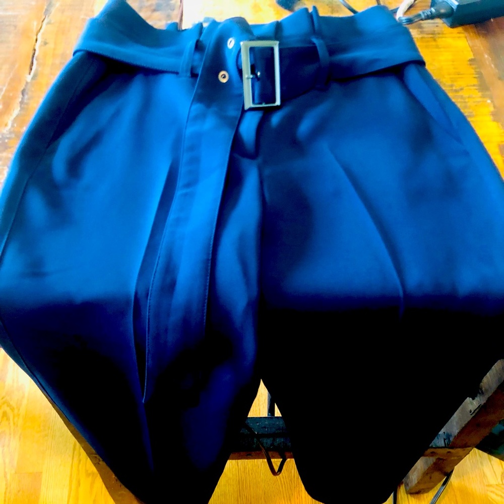 NWT WHBM Size 2 Tapered Ankle Dress Pants with Belt